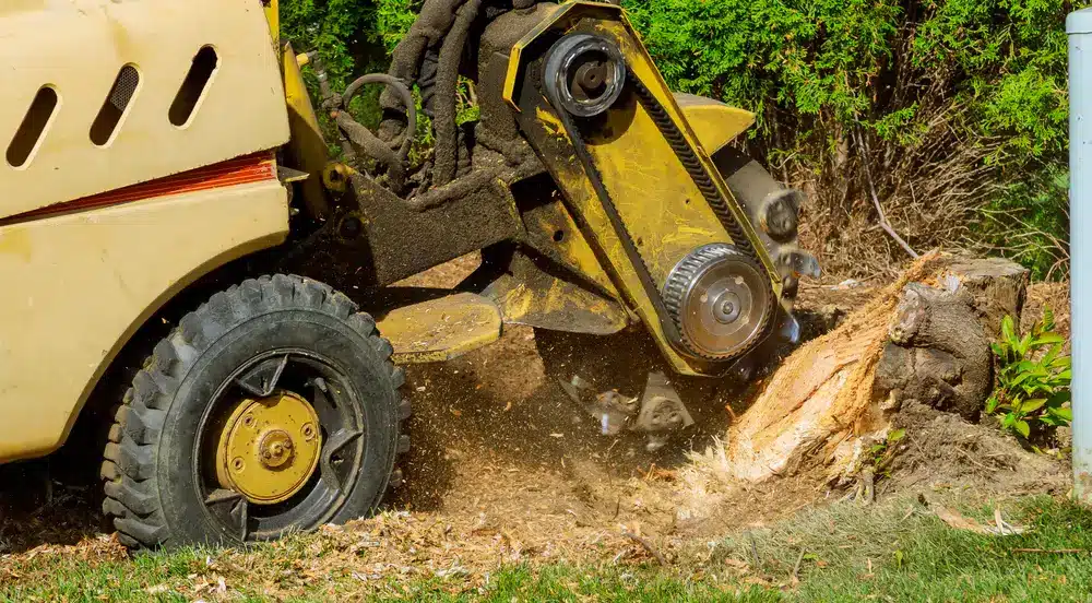 Stump grinders