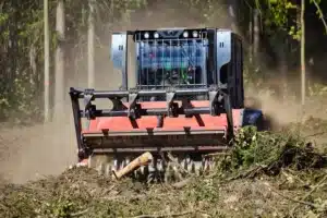 long-term ecological balance