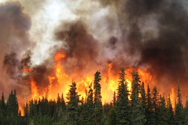 wildfire risks in dry zones