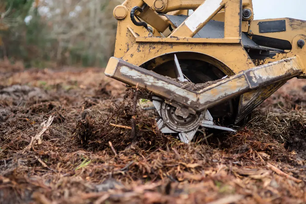 Mistakes to avoid when renting a mulcher