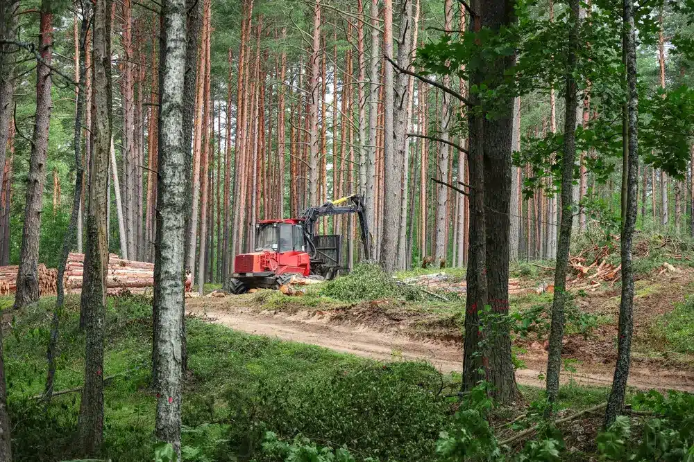 Choosing the right equipment